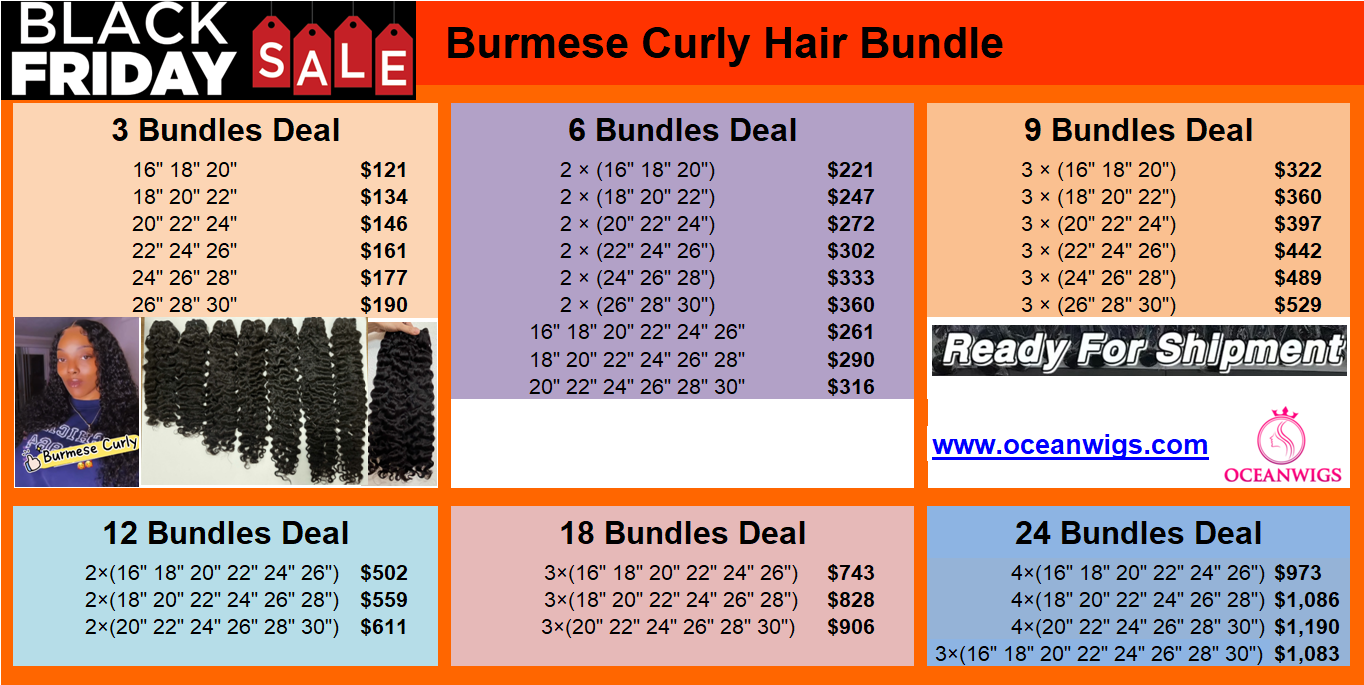 Burmese bundle 2025-11-19 + paypal